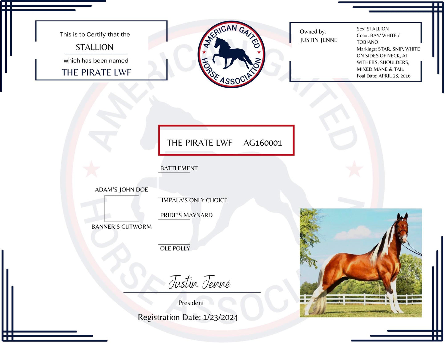 Horse Registration